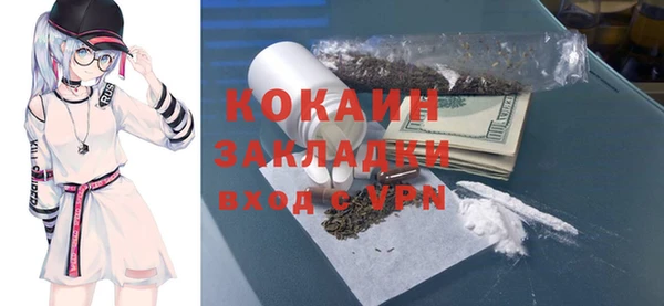 PSILOCYBIN Гусиноозёрск