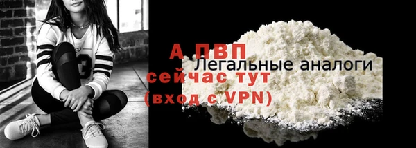 PSILOCYBIN Гусиноозёрск