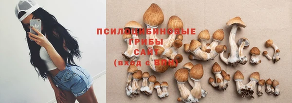 PSILOCYBIN Гусиноозёрск
