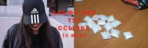 mdpv Гусев