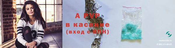 mdpv Гусев