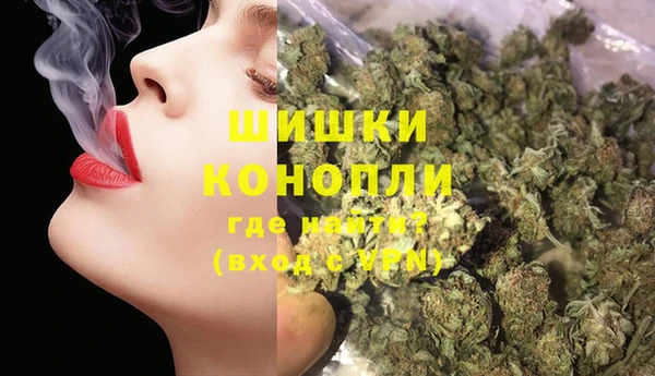 PSILOCYBIN Гусиноозёрск
