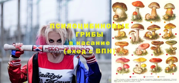 не бодяженный Гусь-Хрустальный