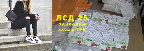 PSILOCYBIN Гусиноозёрск